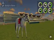 derby quest: horse manager айпад изображения 3