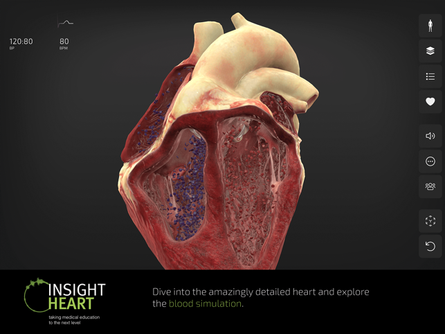 ‎ภาพหน้าจอ INSIGHT HEART