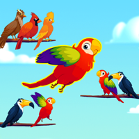 Bird Sort Color Puzzle Game