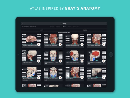 Complete Anatomy 2024 iPad app afbeelding 6