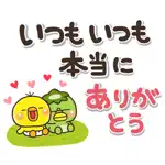やさしいキモチのヒヨコのぴっぴ App Positive Reviews