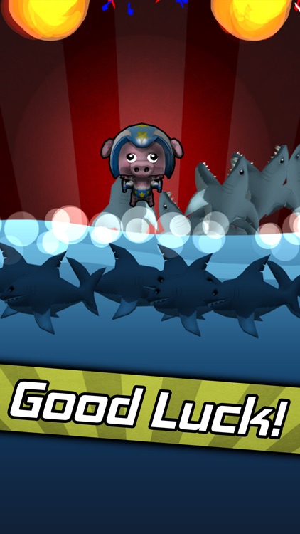 Rocket Pig screenshot-4