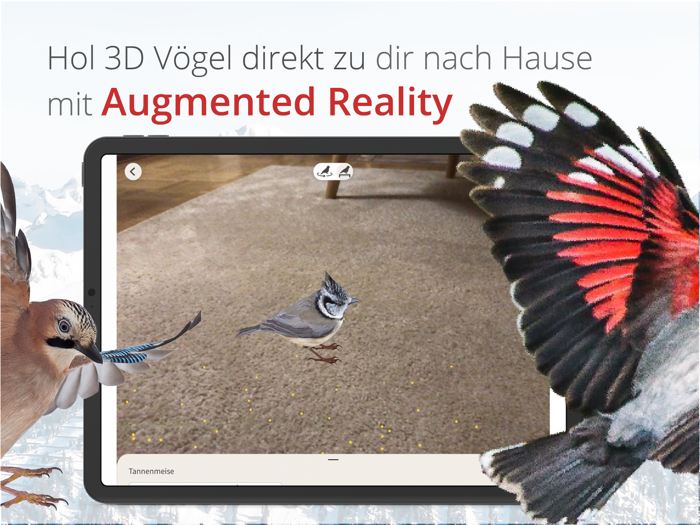 Vogelführer Birdlife Schweiz