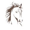 Jani Western icon