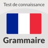 French Grammar Quiz icon