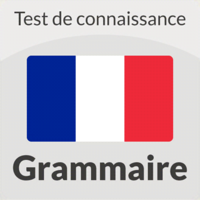 French Grammar Quiz