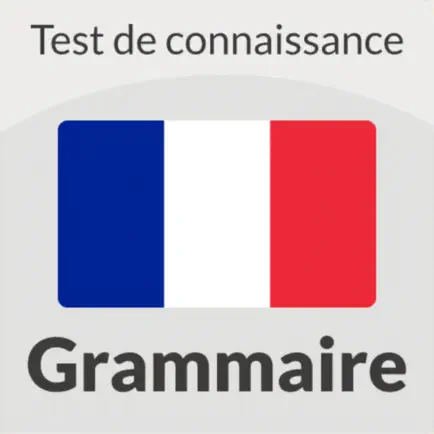French Grammar Quiz Cheats