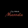 Massala problems & troubleshooting and solutions