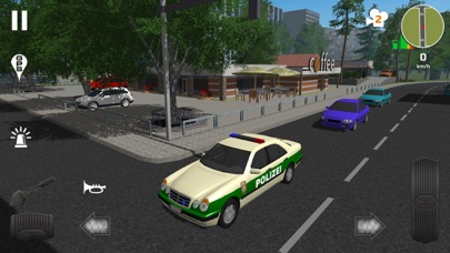 Police Patrol Simulator Screenshot