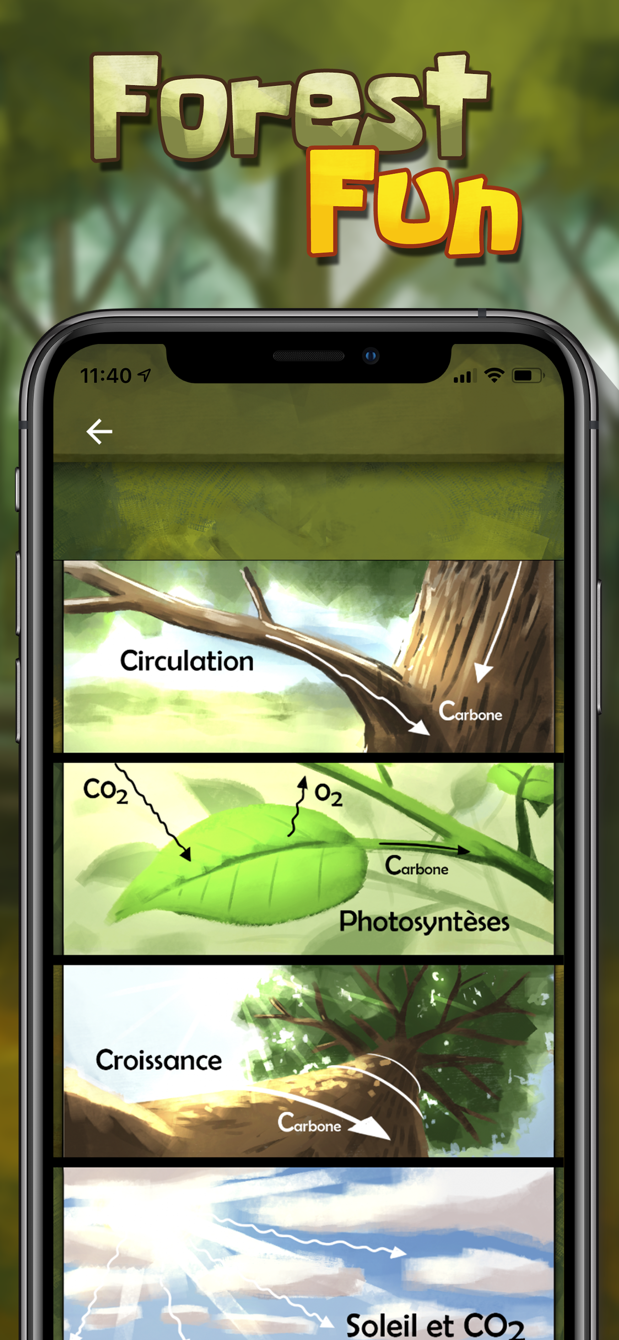 Forest Fun screenshot 4