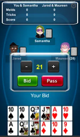 Game screenshot Pinochle.Net mod apk