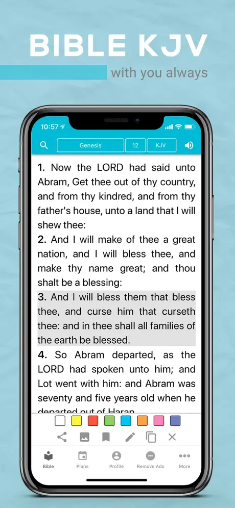 Bible KJV