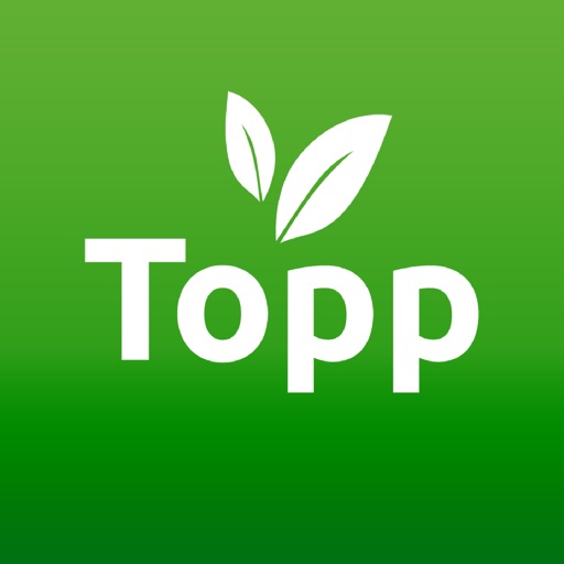 ToppSalad icon