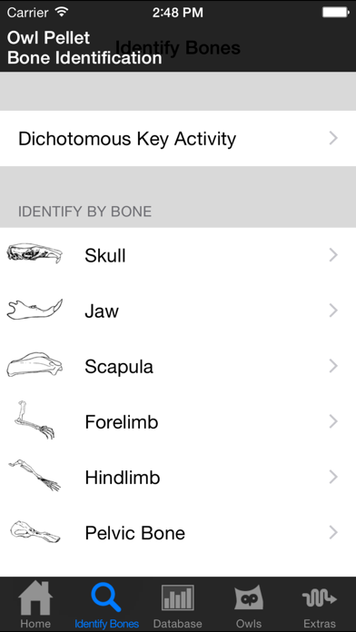 Owl Pellet Activities Screenshot