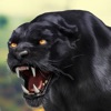 Cheetah RPG Jungle Simulator icon