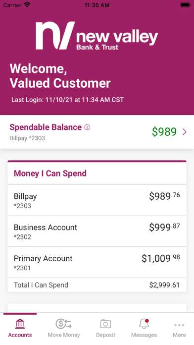 New Valley Bank and Trust Screenshot