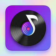 Vinyl Music Widget Player