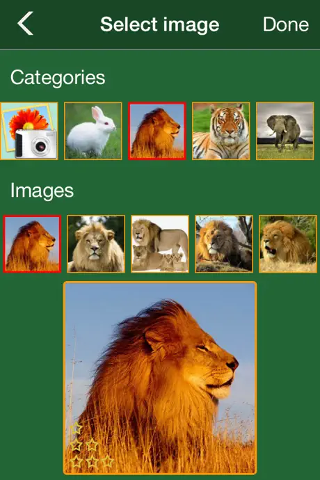 Animal puzzle: kid jigsaw game