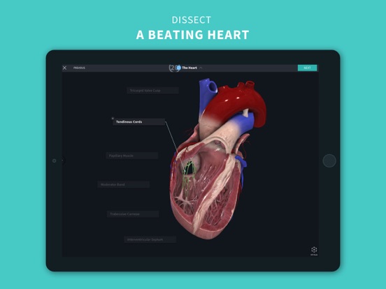 Complete Anatomy 2024 iPad app afbeelding 10