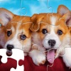 Jigsaw Puzzles - Happy Puzzler icon