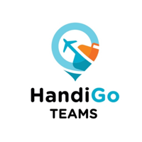 Handigo teams