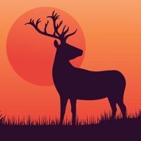 Red Deer Stag Calls