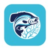 BrushPile Fishing icon