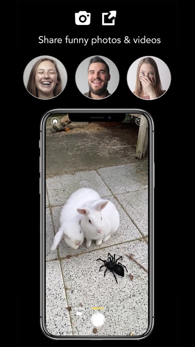 AR Spiders & Co: Scare friends Screenshot