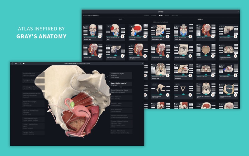 Complete Anatomy 24 Screenshot