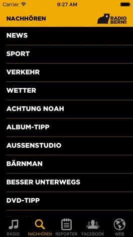 Game screenshot RADIO BERN1 hack