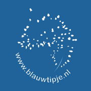 Dutch Nudibranchs - Blauwtipje