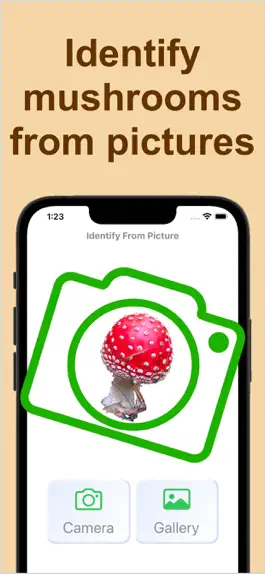 Game screenshot Forest Mushroom Identification hack