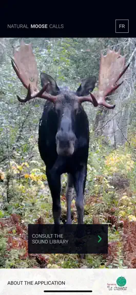Game screenshot Natural Moose Calls apk