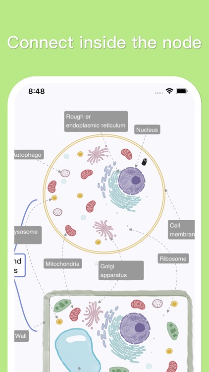 MindSpace - Mind Map