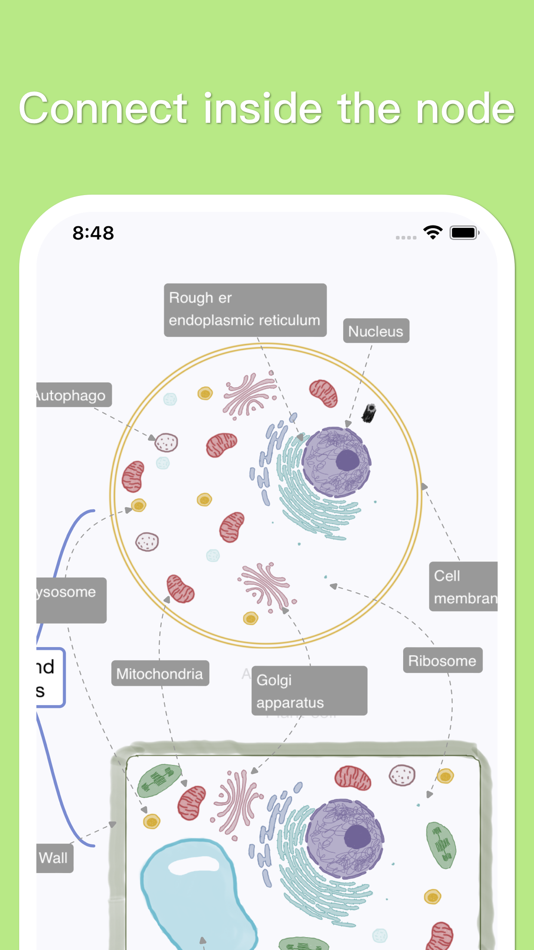 #3. MindSpace - Mind Map (macOS) 由: 佳文 潘