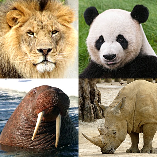 Animals Quiz - Mammals in Zoo iOS App