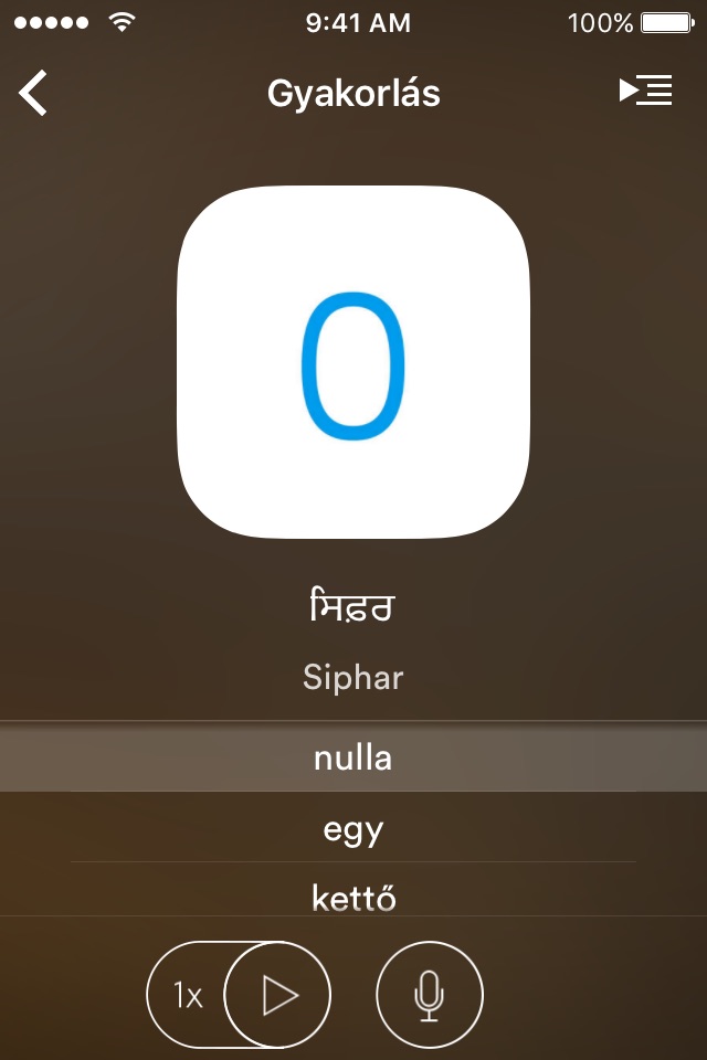 Learn Punjabi (Indian) screenshot 3