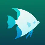 Aquarium Journal App Problems