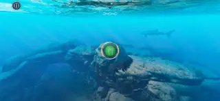 Beyond Blue - Screenshot 3