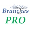 Branches Pro for iPhone icon