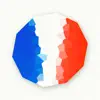 Learn French at Home Positive Reviews, comments