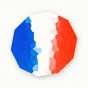 Learn French at Home app download