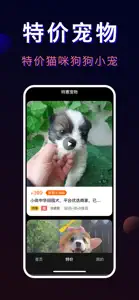 宠物市场-奶猫奶狗视频选购宠物交易宠物特价版 screenshot #2 for iPhone