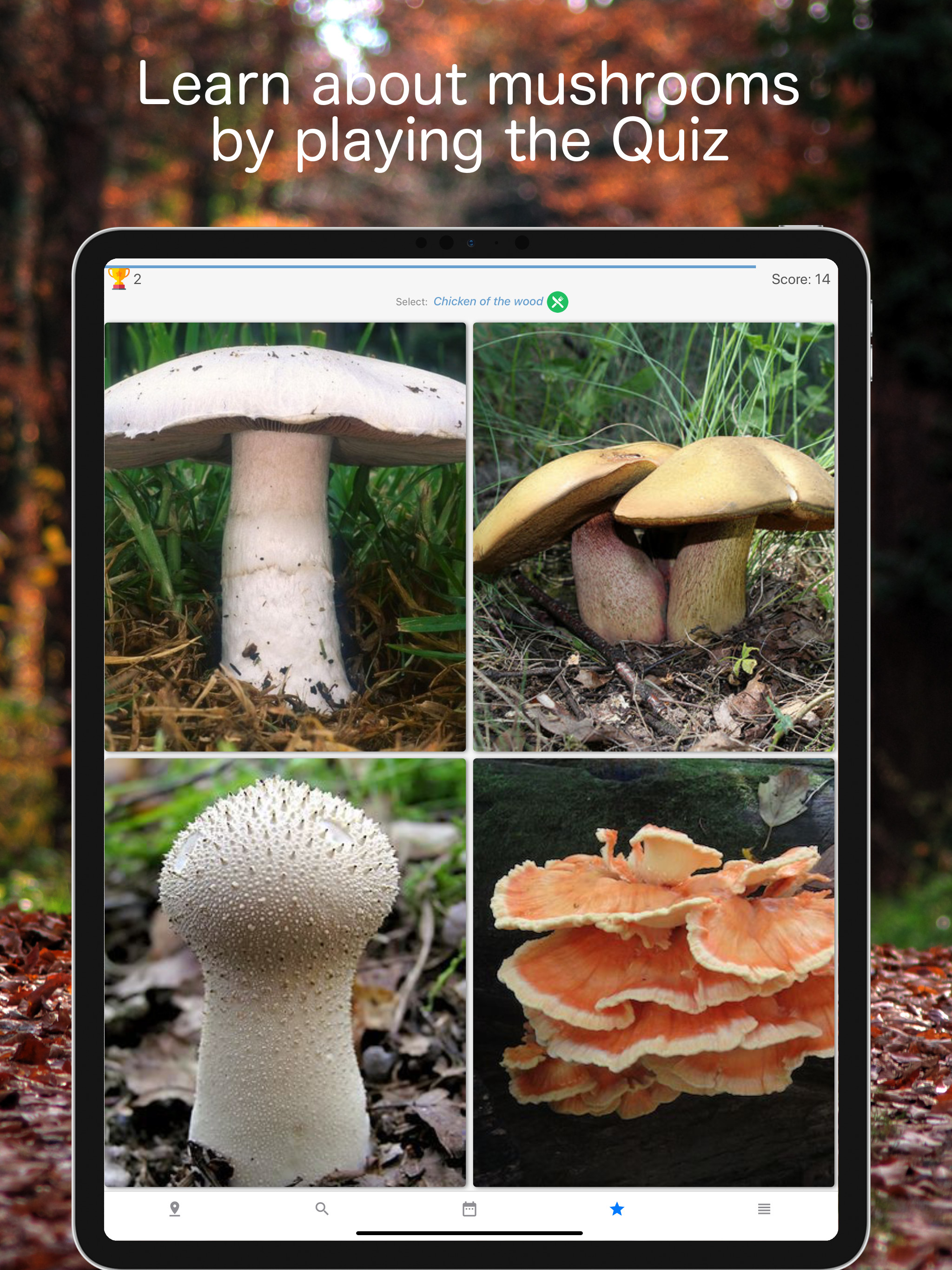 Mushroom Identificator