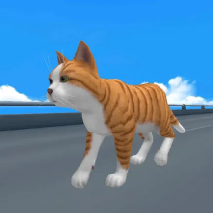 CatRunner2022 (NyankoRun) Читы