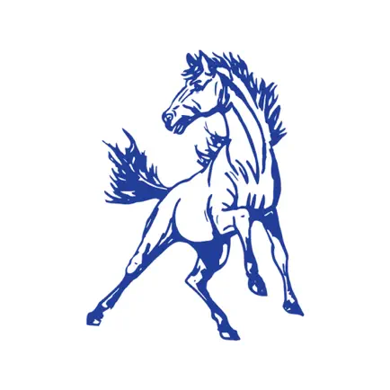 Grand Valley Local Schools, OH Читы