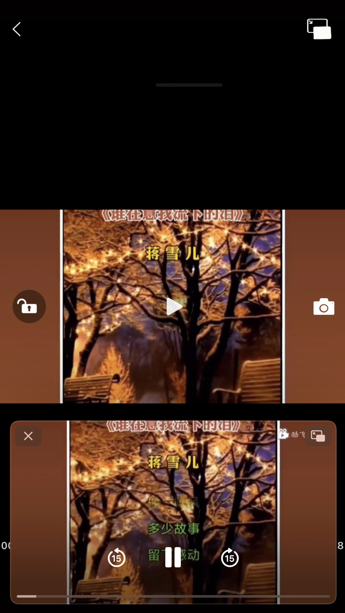 手机管家 - 画中画播放器 手机助手 智能优化 隐私相册投屏