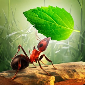 螢幕擷取畫面 (5) Little Ant Colony - Idle Game