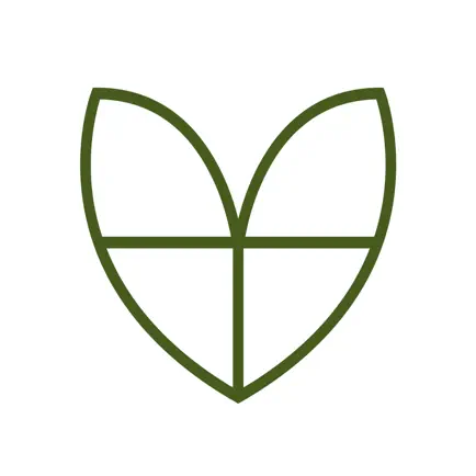 Welle Club Читы