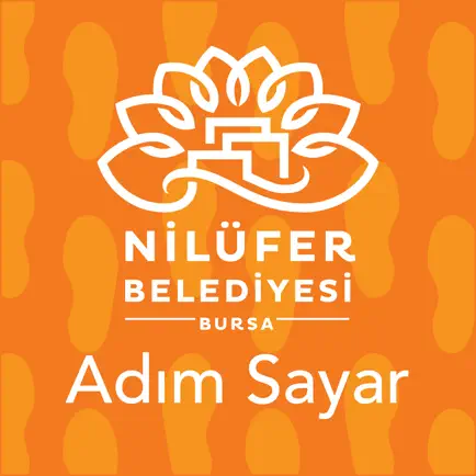 Adım Sayar Nilüfer Cheats